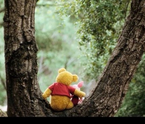 Lwilliamshey's profile picture. 