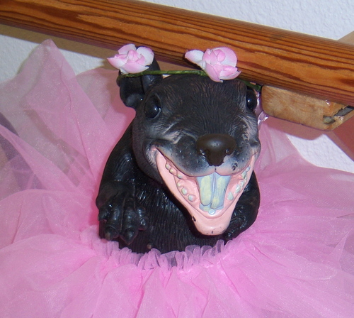 kuroco's profile picture. I just spent four hours burying the cat.