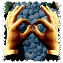 I'm prayin' for rain in Spain, so the grapes can grow & they can make more wine, & I'm sittin' in a bar in Manhattan with a happy heart & a woman on my mind