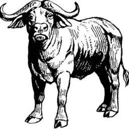 workerox's profile picture. 