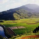 Raymond ayers - @captfreez - Twitter