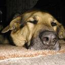 jodie lee ashburn - @jodieleeashburn - Twitter