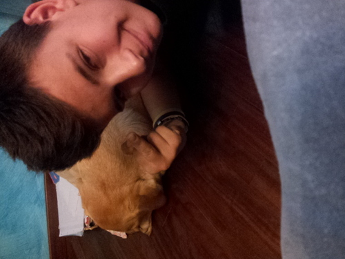 mattia_astaldi's profile picture. 