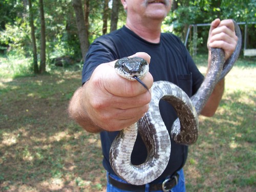 cheappc's profile picture. 