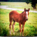 Terry Butts - @butts_terry - Twitter