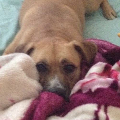 MagalyTorres3's profile picture. 