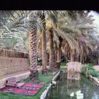 هيا صالح الغريب (@hayaalghareb) Twitter profile photo