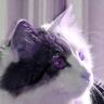 felixonmars's profile picture. https://t.co/UM22yIA35U
Arch Linux Developer, RISC-V Porter, probably a fox. PGP Key: 0x786C63F330D7CB92
