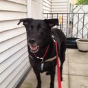 Doreen Romano - @NYBABE70 - Twitter