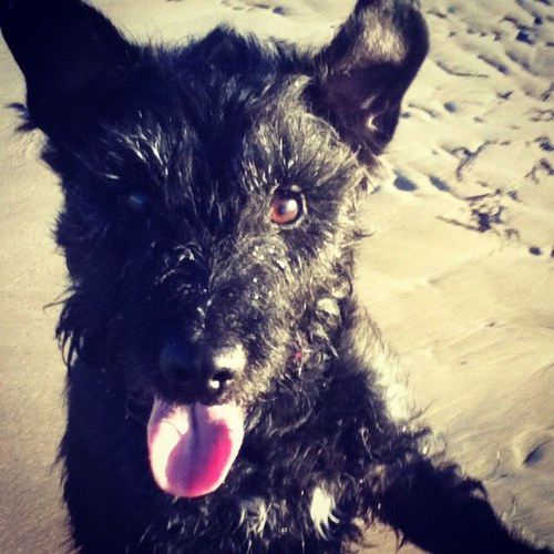 Emmmuuusss's profile picture. 