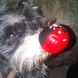 mosslulu's profile picture. 