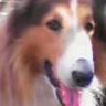 yunim0825's profile picture. 万年初心者提督です。実力は察して下さい(笑)！
申し訳ないですが、政治批判、外国批判、極端な日本礼賛、エロ垢・投資・宗教・勧誘垢は即ブロックします。また、迷惑垢のフォロワーを整理出来てない方や私のツイート内容と関係無さそうな垢(外国語垢含む)もブロックさせて頂く事があります