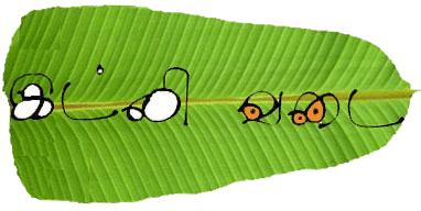 idlyvadai's profile picture. 