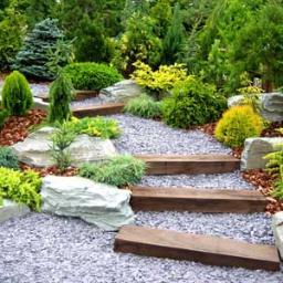I am an extremely passionate proffesional gardener .Follow my blog for seasonal handy tips and ideas for you garden @ http://t.co/CinuixSfTL