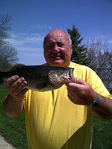 tommytablet's profile picture. 