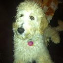 Nancy Hole - @NanHole - Twitter