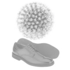 viruswaeshoes's profile picture. Writer, Editor, Lover, Fighter. 
All the views expressed here are correct. 
Also - I have two cats.