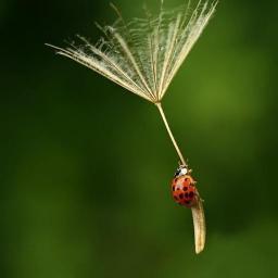 Lauraspitale's profile picture. 