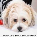 Adam Lang - @adamlang1 - Twitter