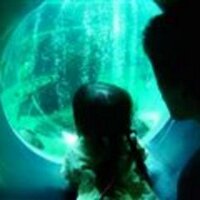 いけ麺 (@ikemen3) 's Twitter Profile Photo