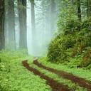 capri parker - @capri_parker - Twitter