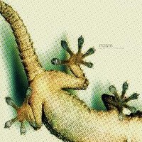 Francesc Galvez (@xikkku) 's Twitter Profile