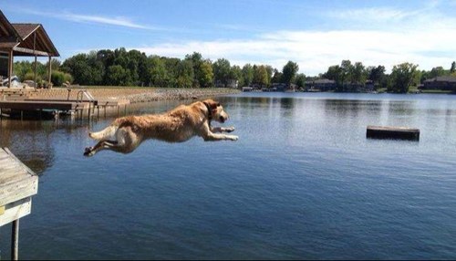 ktheno's profile picture. 