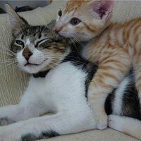 AuXi GaLLeGo (@auxigallego) 's Twitter Profile Photo