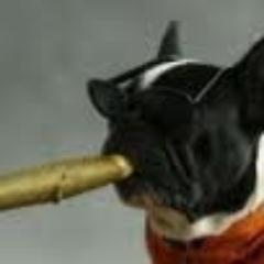 TimsHumidor's profile picture. Casual Cigar Smoker Afficondo