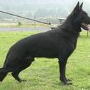 Jerry Lee Mace - @JerryLeeMace - Twitter