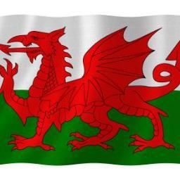 BilingualismCHS's profile picture. 