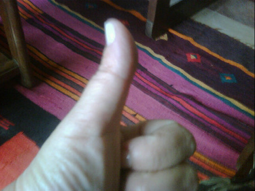 fernandagut21's profile picture. 