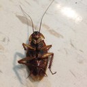 Jody Bates - @BeanBear0815 - Twitter