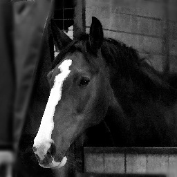 I am raising awareness of equine grass sickness after I lost  my horse William who was put to sleep having been diagnosed with acute grass sickness within 24hrs