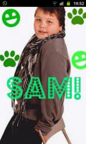 smnibbering's profile picture. sam