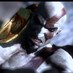 El Kratos (@logarh) Twitter profile photo