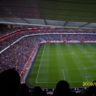 marcusflepp's profile picture. SC Brühl, FC Millwall, FC Wil, Charles Bukowski, UK, Patent Ochsner, Fussballwetter, Geocacher