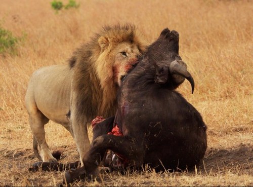 xEMPERORxx's profile picture. 