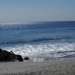“One must maintain a little bit of summer, even in the middle of winter.” ― Henry David Thoreau.