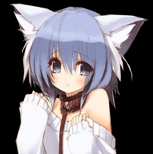 neko girl/boy , breeded and ready to be sold to the highest bidder. ((RP 18+ ))
