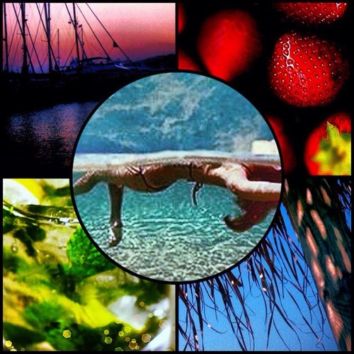 vasiloki's profile picture. 