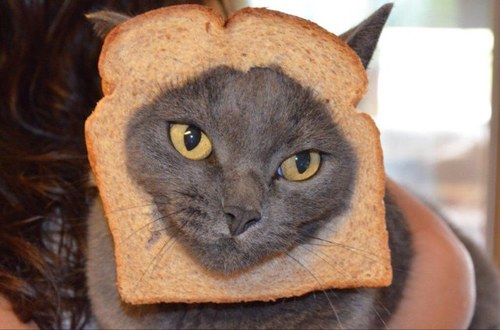 bspaints50's profile picture. 