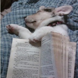 JDohner's profile picture. Author, librarian, farmer. Farm dogs, LGDs, livestock, poultry, predator coexistence, invasive animals. I write for Storey Publishing and Mother Earth News.