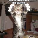 Cindy Eads - @leatherbaby1 - Twitter