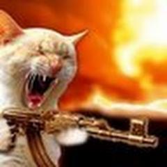 bonazm's profile picture. 