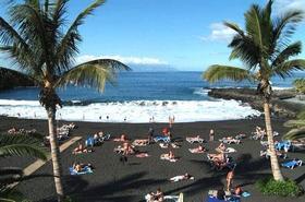 BahiaFlamingo's profile picture. 