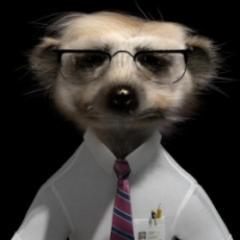 Lecturer in Human Geography & Urban Development at Manchester Metropolitan University. Better known for looking like Sergei the Meerkat...