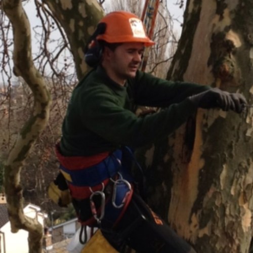 We are a tree surgery company based in Canterbury/Herne Bay. Customers include Diocese Of Canterbury, Sir Bob Geldof, Roger Gale and many more.