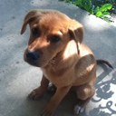 Ross Woods - @ross_woods_ - Twitter