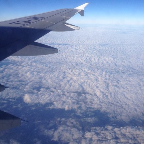 juanzuar's profile picture. 